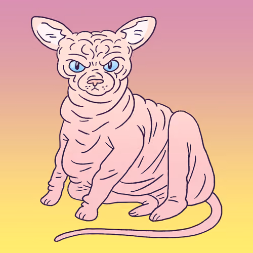 Sphynx Cat #1503