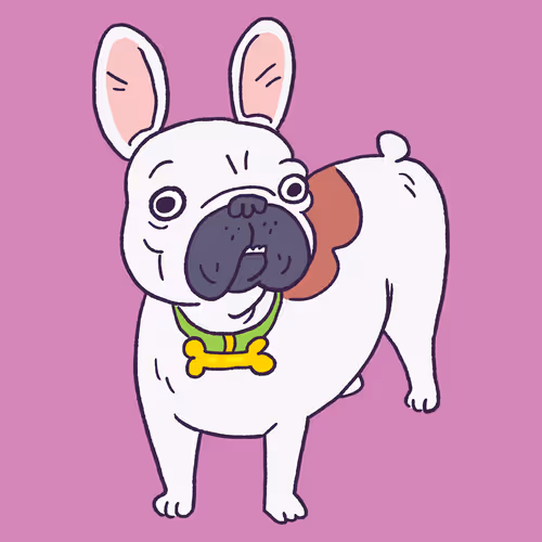 Frenchie #821