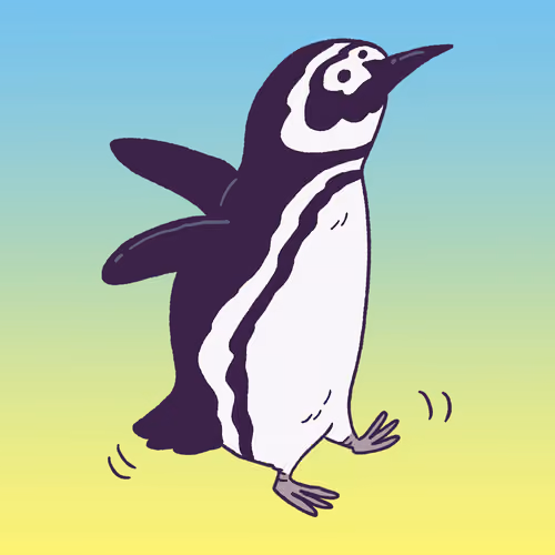 Magellanic Penguin #1520