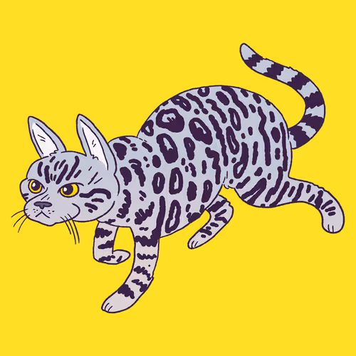 Bengal Cat #1067