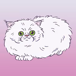 Persian Cat #1216