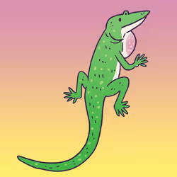53