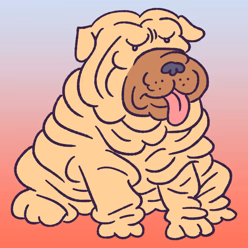 Sharpei #594