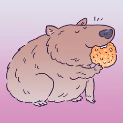 Wombat #1334