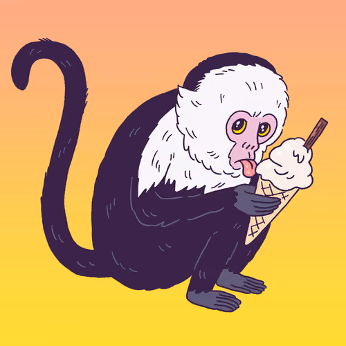 Capuchin Cone #1896