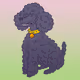 Poodle #824