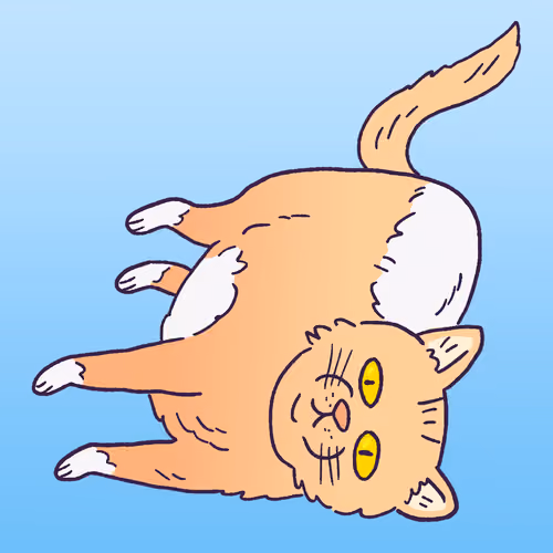 Cat #673