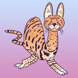 Savannah Cat #1243
