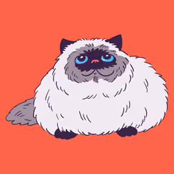 Himalayan Cat #1628