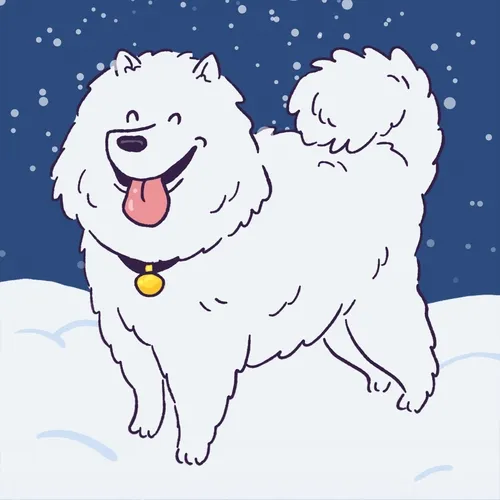 Samoyed #801