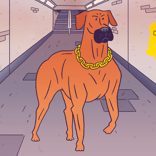 Rhodesian Ridgeback #33