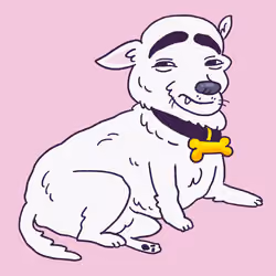 Eyebrows Dog #1057