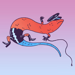 Skink #1298