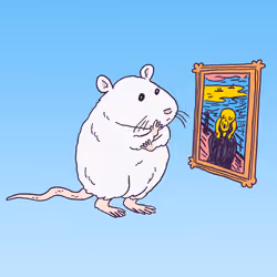 244