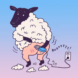 Suffolk Sheep #1627