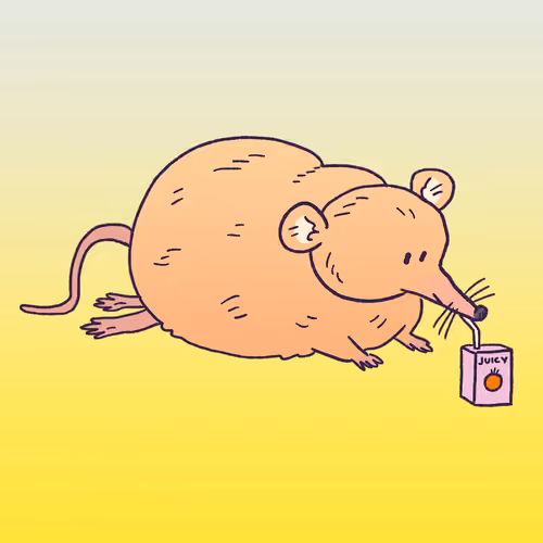 Shrew #1667