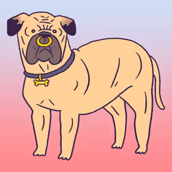 Bull Mastiff #9