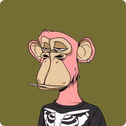 #234