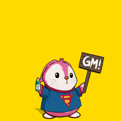 5255