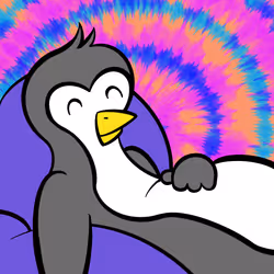 2466