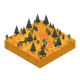 101