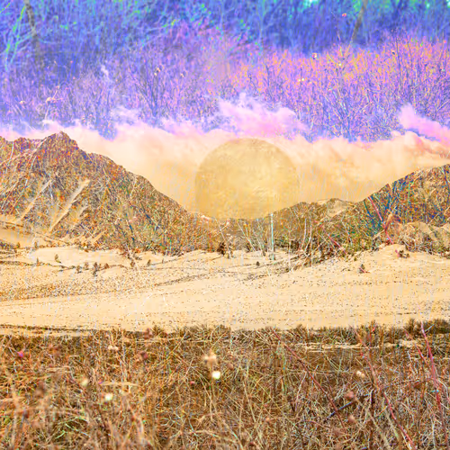 Fromthemountainsofmymindeds