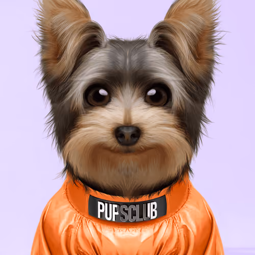 Pup #8449