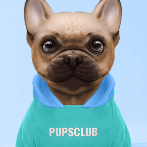 Pup #8447