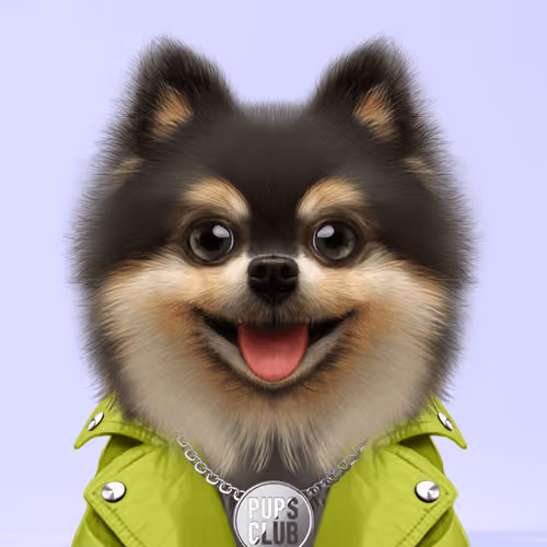 Pup #8448