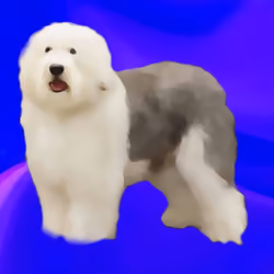 CryptoDoggies #30 [Mut] [Gen-0] 