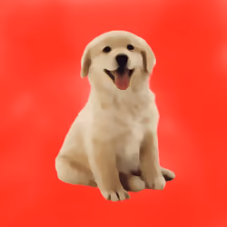 CryptoDoggies #35 [Rare] [Gen-0]
