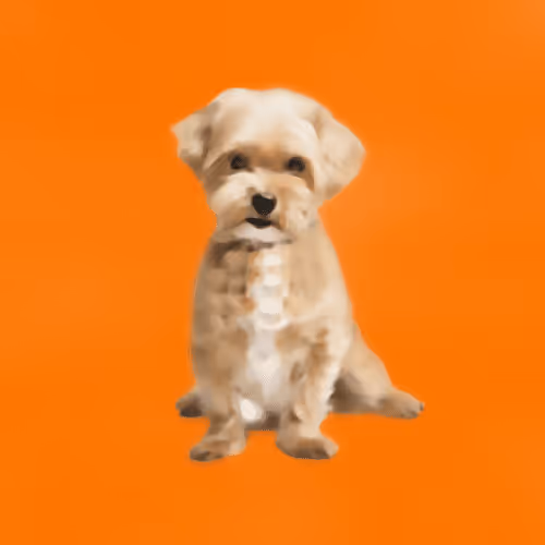 CryptoDoggies #49 [Mut] [Gen-0]