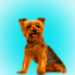CryptoDoggies [Genesis Founder Dog #1]