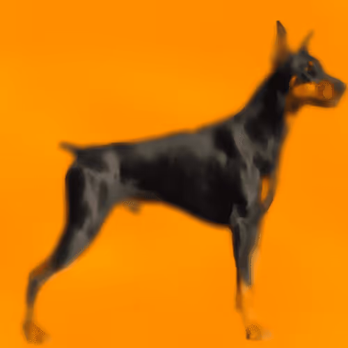 CryptoDoggies #83 [Mut] [Gen-0]