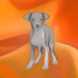 CryptoDoggies #23 [Mut] [Gen-0]