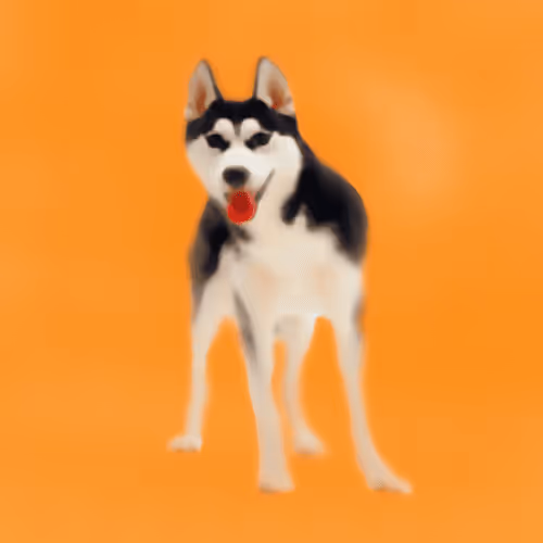 CryptoDoggies #66 [Mut] [Gen-0]