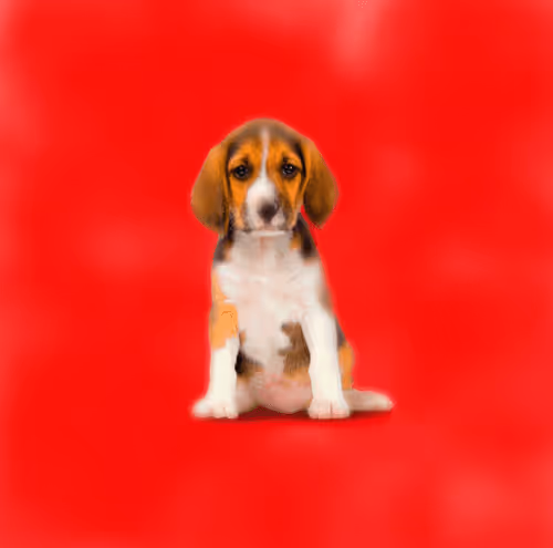 CryptoDoggies #46 [Mut] [Gen-0]