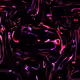 4275