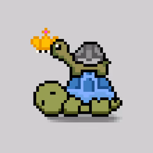 Turtlemoons