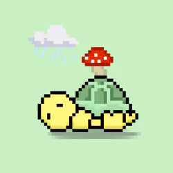 Turtle Moons #6202