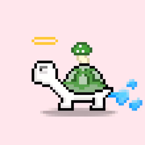 Turtle Moons #212