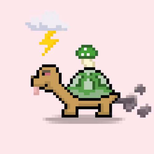 Turtlemoons