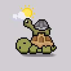 Turtle Moons #5680