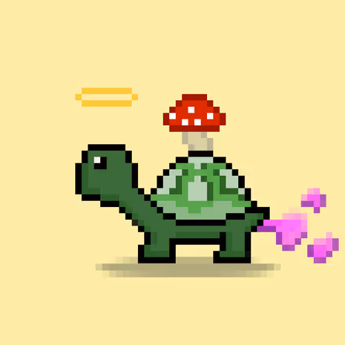 Turtlemoons