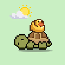 Turtle Moons #6410
