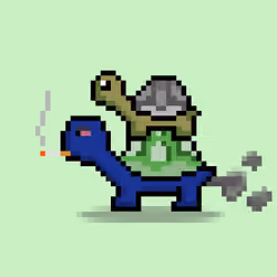 Turtle Moons #449