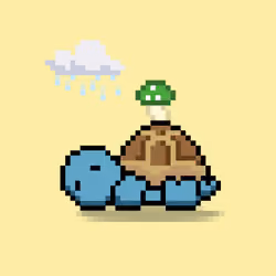 Turtle Moons #2581