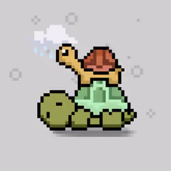 Turtle Moons #5675