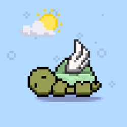 Turtle Moons #5925
