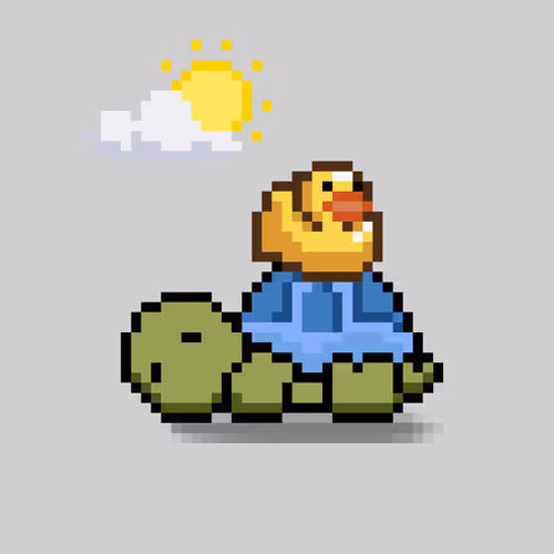 Turtle Moons #6412